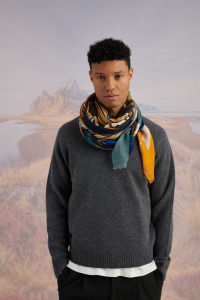 Écharpe BRICE en Modal